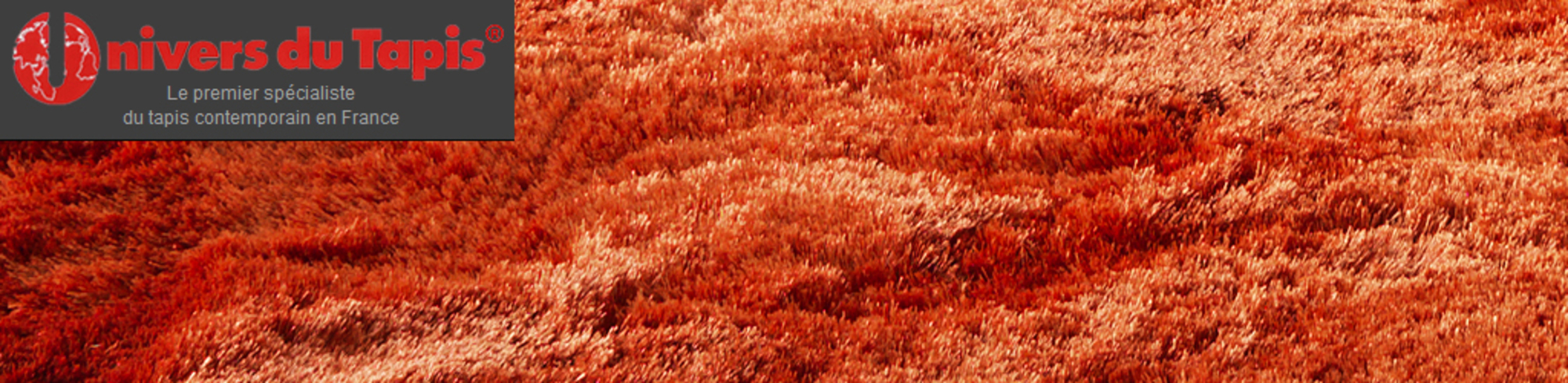 Univers du tapis